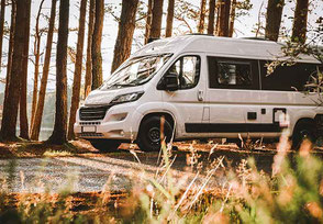 Weißer Fiat Ducato Kastenwagen im Wald 2026