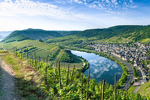 Blick auf Moselschleife mit Stadt im Hintergrund Wohnmobil Tour Süddeutschland 2026 