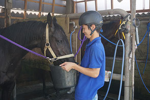 最後に馬に餌を付けてお仕事完了です。