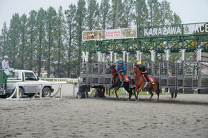 馬場で馬の調教・乗り運動を行います。