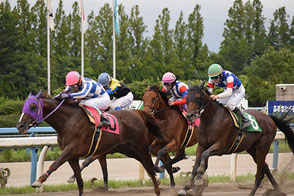 金沢競馬場出走の様子