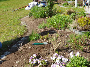Blumenbeet und Rasenfläche mit Gartengeräten