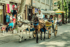 Pferde-Kutschfahrt in Istanbul Prinzeninseln