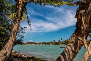 Blick durch Palmen auf Koh Samui © Jutta M. Jenning mjpics