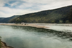 am-rhein-bei-rüdesheim-ehrenfels