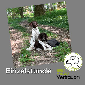Einzelstunde