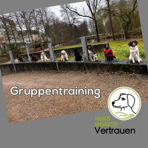 Gruppentraining