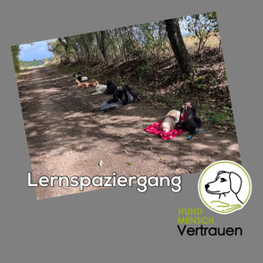 Lernspaziergang