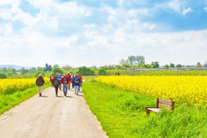 Gruppen-Reiseschutz der ERGO Reiseversicherung – Tarife für Familien, Vereine und Gruppen bis 150 Personen