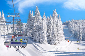 Wintersport-Versicherung der TravelSecure und ERGO Reiseversicherung – Ski-Haftpflicht, Skikurs- und Snowboard-Schutz