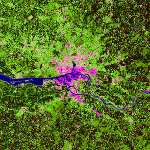 NDVI Hamburg (MoI)