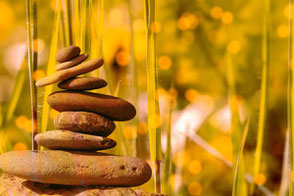 Yin & Klang im Ballyhouse Schönenwerd – Yoga, Klangschalen & Gong mit Jasmin Belart & Simone Scheuner.