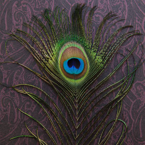 Coaching op afroep. Voor wie af en toe wil bijsturen. Losse sessies van 1 of 2 uur, precies op het moment dat het nodig is. Persoonlijk, doelgericht en direct toepasbaar.