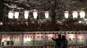 三熊野神社大祭（管理人取材）の画像1