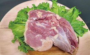 地鶏モモ肉(種鶏)