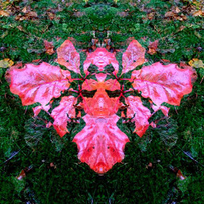 Waldsymmetrie - fotografische Experimente, Audiovision