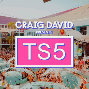Craig David's TS5 Pool Party Ibiza Rocks