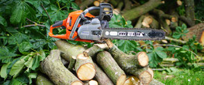 Tree Felling in Worcester