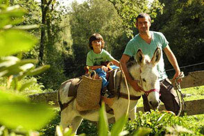 Atelier en famille avec les Ânes de Vassivièree Vassivière