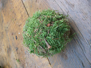 Zelf mosballen maken op www.sfeersmaak.be
