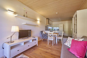 Gemütliches Wohnzimmer im Zwei-Zimmer-Appartement plus im Alb Appartement auf der schwäbischen Alb - Ihre Hotelalternative zwischen Bodensee, Allgäu und Schwarzwald für Wanderurlaub, Geschäftsreise oder Longstay