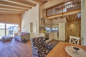 Gemütliches Wohnzimmer mit Küchenzeile in einer Zwei-Zimmer-Maisonette-Ferienwohnung im Alb Appartement auf der schwäbischen Alb - Ihre Hotelalternative zwischen Bodensee, Allgäu und Schwarzwald für Wanderurlaub, Geschäftsreise oder Longstay