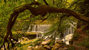 2016 - Areuse Schlucht