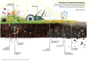 Antropogene verstoring van de gezonde leefomgeving, J.v.Noort 2024