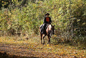 Reiten im Herbst