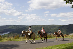 Reiten am Urftsee