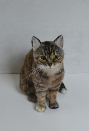 Filzkatze, Tierskulptur, Haustierporträt, Katze, filz, Filzen, Nadelfilzen, Wolle, Filztiere