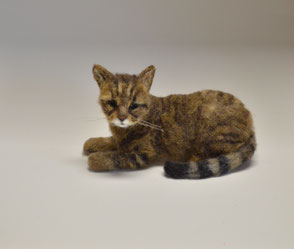 Filzkatze, Abbild, Katze, Filz, Nadelfilzen