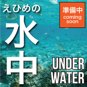 えひめの水中　UNDER WATER