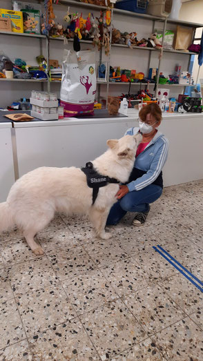Weißer Schäferhund und Frau mit Futterspenden für die Tiertafe