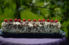 sabines kuchenparadies pfirsich-buttermilch-torte
