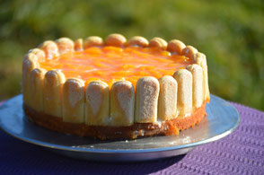 sabines kuchenparadies gib mir die kugel