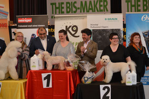 2. Meisterschaft 2017 DGV 2. Platz