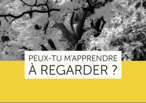 Peux-tu m'apprendre à regarder ? Poésie Zen et contemplation du monde