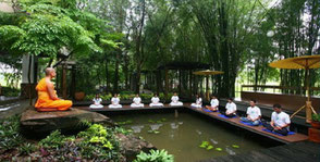Mindfulness Meditation Thailand Volunteers