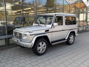 G500 kurz