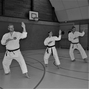 Drei Karate-Schüler üben gemeinsam Kihon (Grundlagentraining)