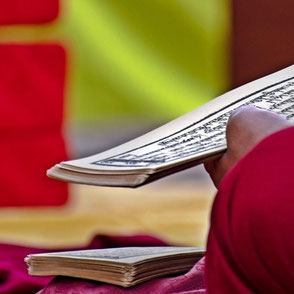 buddhistische Bücher, Anapanasati, Ajahn Chah, Amaro, Buddhadasa, Achtsamkeit, Leerheit,  meditieren, Vipassana, Achtsamkeit, Mitgefühl, Metta, Selbstmitgefühl, Shamatha, Konzentration, Sammlung, Tonglen, Buddha, Dharma, Sangha, Lehrreden, Pali