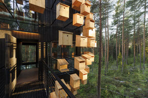 Luxuriöses Baumhaus mitten im Wald