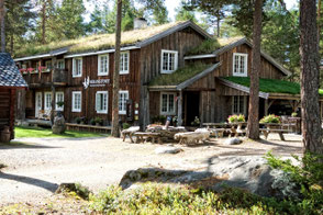 Holzhotel inmitten des Waldes