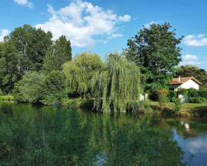 Gîte de pêche au bord de la Sèvre Niortaise dans le Marais Poitevin