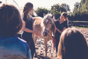 Afbeelding zonder ALT