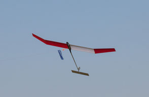 Freiflugmodellsport