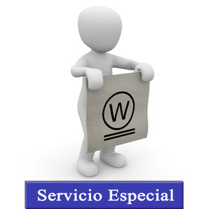 Servicio Especial. Wet Cleaning