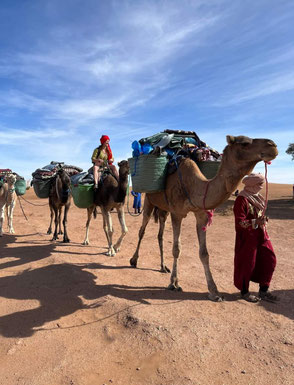 Circuitos desierto