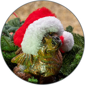 Weihnachtsdrache